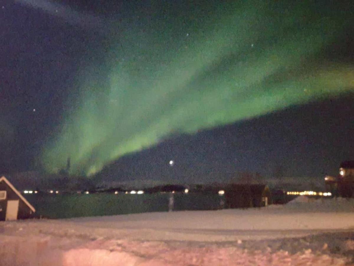 Nydelig utsikt, egen leilighet med to parkeringer Movik  Eksteriør bilde